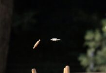 Ten wicket dominance by South Port