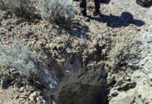 No results following shaft search for Gus