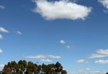 Dominant Wilmington-Melrose grab top spot