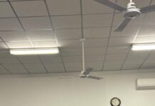 Spalding Wool Show runs swimmingly