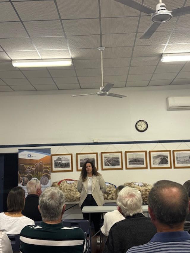 SpaWoolSho_519371_01