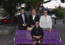 Candles shine on family and domestic violence awareness