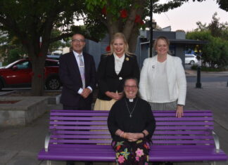 Candles shine on family and domestic violence awareness