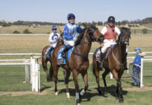 Bolt By to glory in cup race