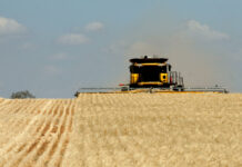 Iconic Aussie song tops Harvest 100 playlist