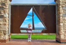 Camera club looking through