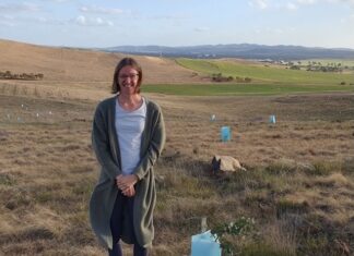 Grain industry figures growing positive change