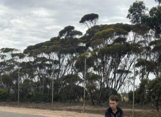 Four set win for Lochiel over Wallaroo