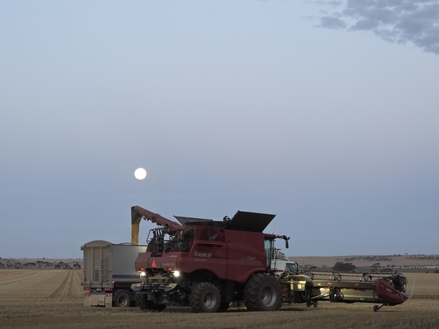 OtFDec1025_522945_01