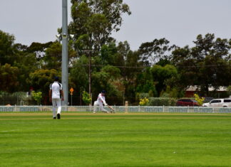 Props sits top of ladder