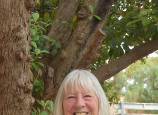 Volunteer and young carer named state award finalists