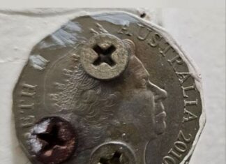 Thief returns ‘Queenie’ to the royal throne