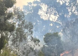 Fire fought on Clare’s doorstep