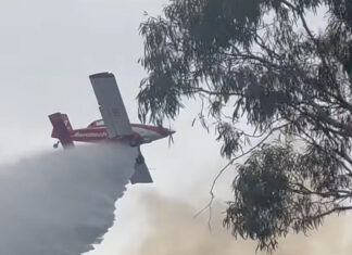 CFS saves homes from Clare fire
