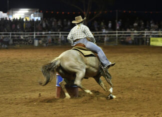 Wilmo rodeo royalty caps off big night