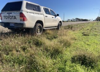 Weed check for Easter travellers
