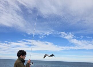 Empowering experiences through ‘Developing Ur Life’