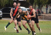 Peckers shoot down Bombers in final quarter