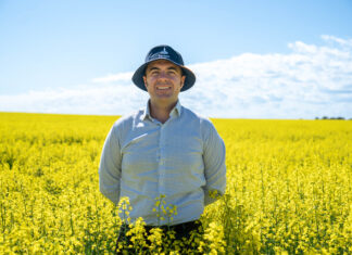 Report highlights increased role of canola in biofuel future