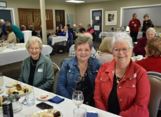 Local volunteers deliver more than meals in Clare