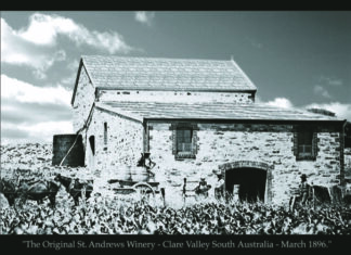 The poush to promote and preserve Valley heritage vines