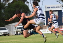 Hawks pounce on Cats in final term