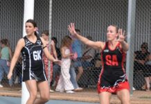 Steely Lions secure close win