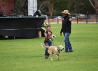 Tom Curtain wows at Wasleys