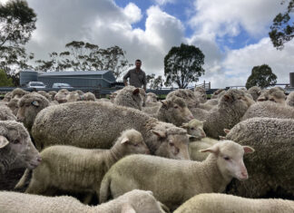 Mid North sites selected for sustainable demos