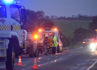 Car crashes into tree at Hoyleton