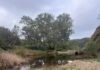 Wakefield River run