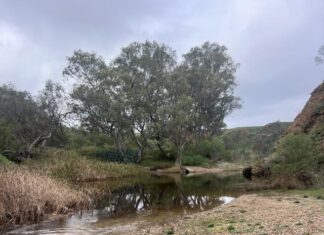 Wakefield River run