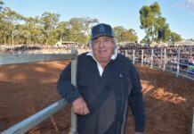 Mayor retains after independent review