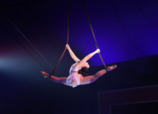Harrington circus rolls into Clare