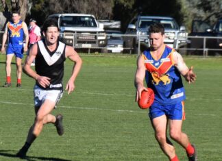 Lions lift for stunning win